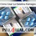 Cómo Usar La Gelatina Kamagra viagra5